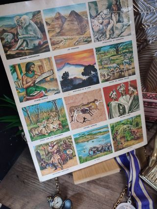 Album: MERAVIGLIE DELL'AFRICA N64