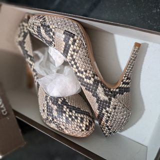 Zapatos Pitón. Imperio Clandestino.