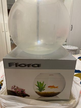 2 Peceras de cristal decoracion