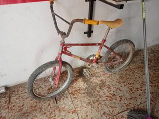 Clasica