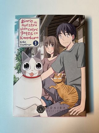 Diario de nuestra vida entre gatos en Kamakura