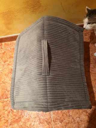 casa para gatos