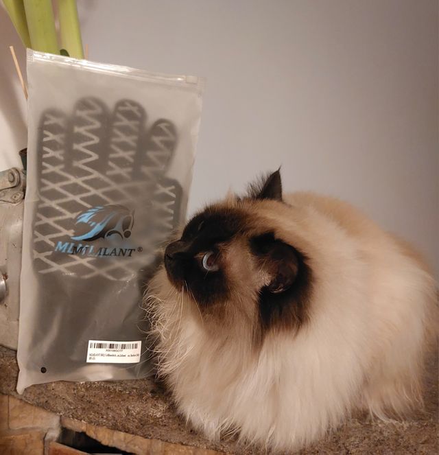 Guanti ignifughi per barbece, forno  o camino