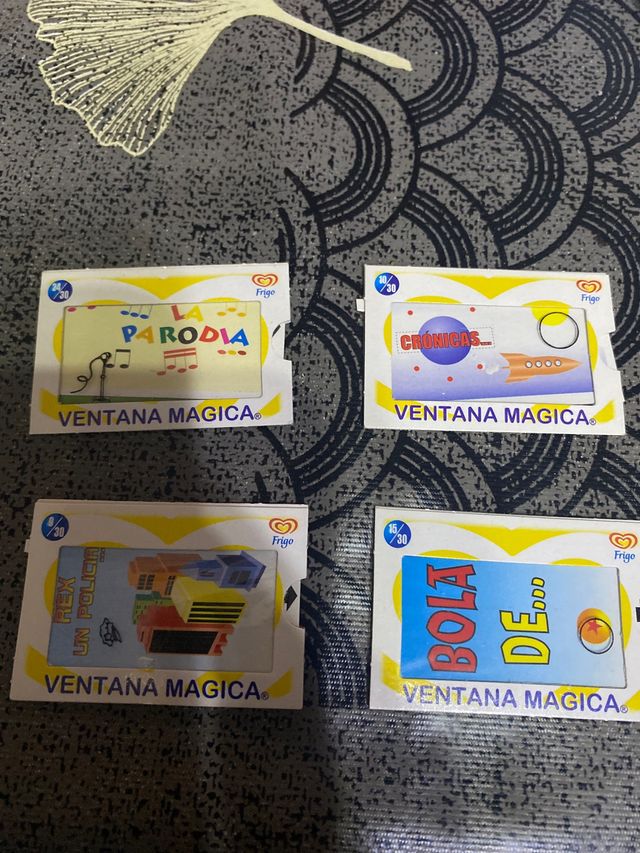 Ventana magica Frigo