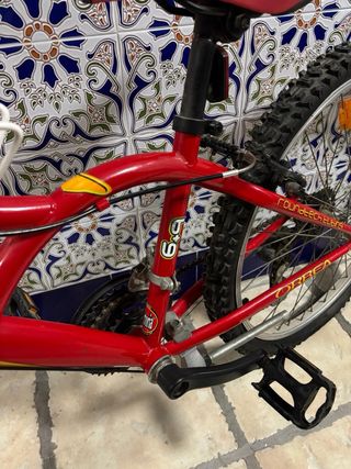 Bicicleta