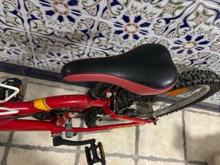 Bicicleta