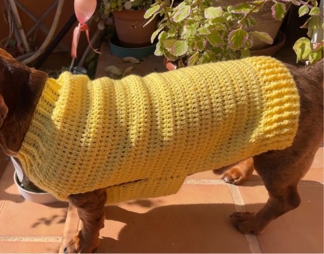 vestido perro crochet