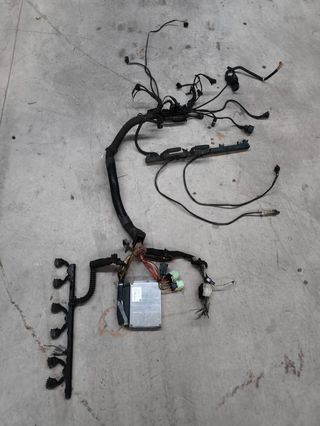 Centralita y cableado de motor BMW 528i e39