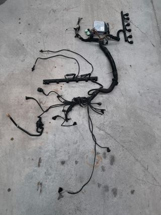 Centralita y cableado de motor BMW 528i e39