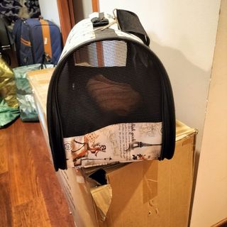 Transportin para perros