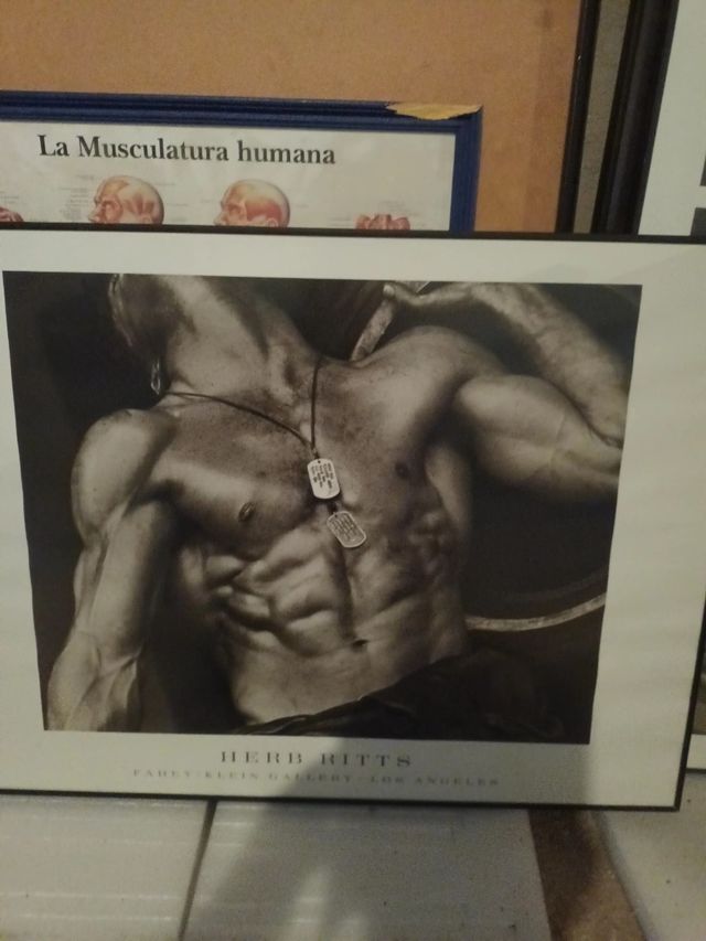 Todos cuadros deportivos vintage, gimnasio