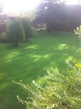 Césped artificial jardín