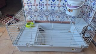 Se vende jaula conejo