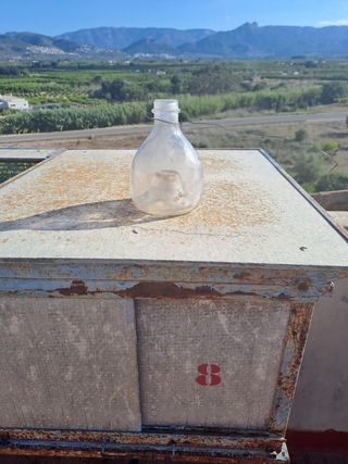 Botella atrapa insectos 