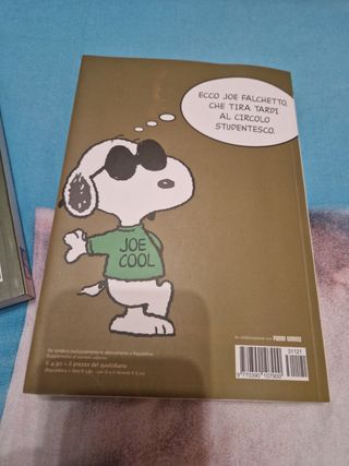Snoopy Peanuts due classici collezione
