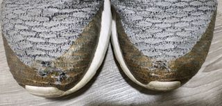 Bambas Nike Roshe NM Flykni gris