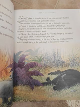 Cuenta Cuentos bilingüe