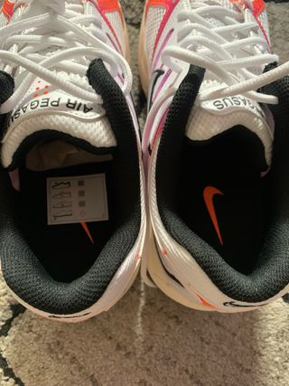 Zapatillas nike pegasus 2005