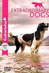 Colección de 3 DVD`s Extraordinary Dogs