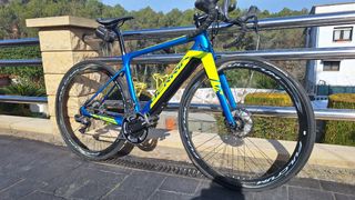 BERRIA BELADOR HYABRID