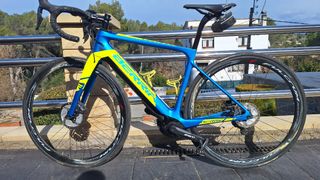 BERRIA BELADOR HYABRID