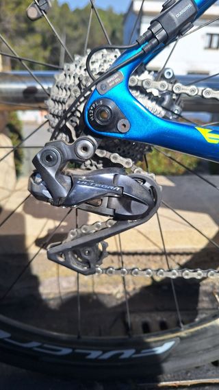 BERRIA BELADOR HYABRID