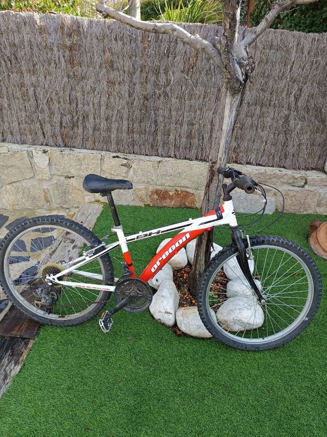 Bicicleta montaña 