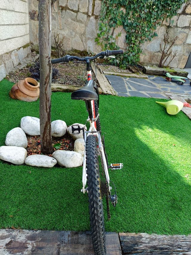 Bicicleta montaña 