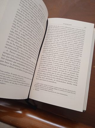 Libro de la vida. Teresa de Jesús