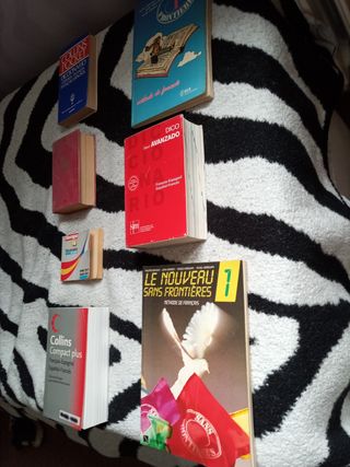 Diccionarios francés-español, todos de golpe sí