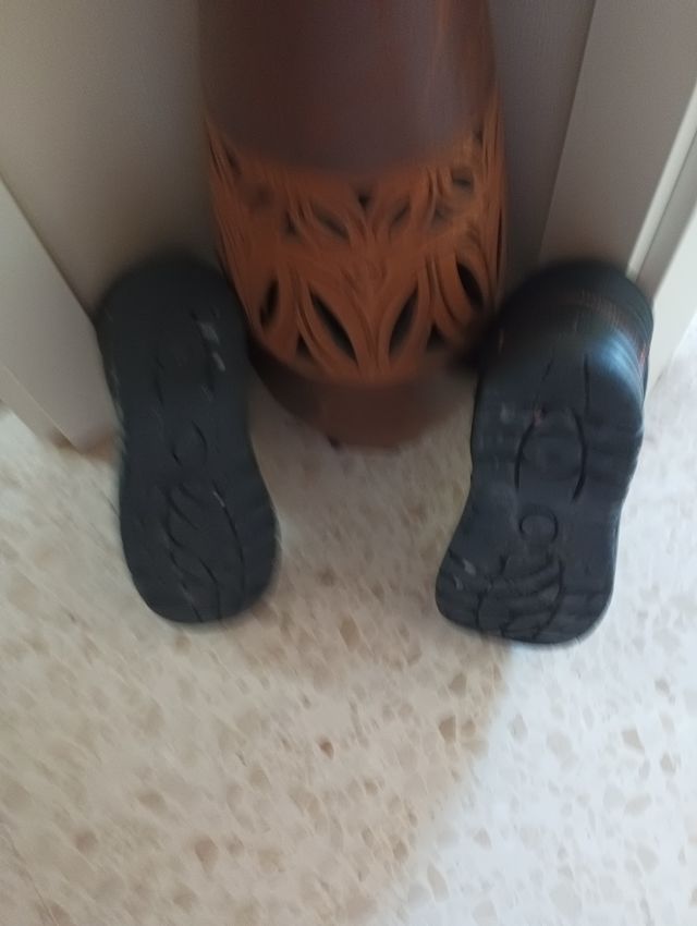 Botas seguridad, n-38