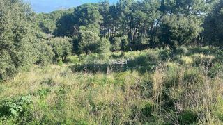 Terreno en venta en Can Semi - Mas Nou - Mas Ros en Castell-Platja d´Aro