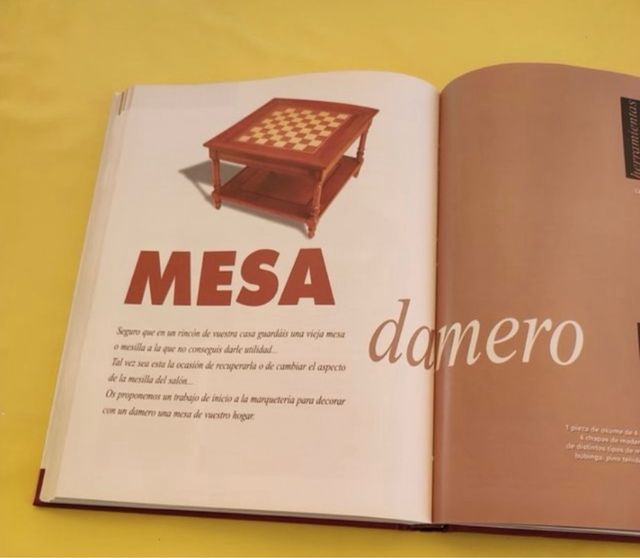 Libro “ Brico Mania”