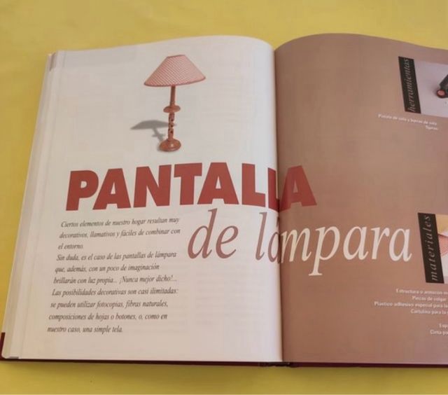 Libro “ Brico Mania”