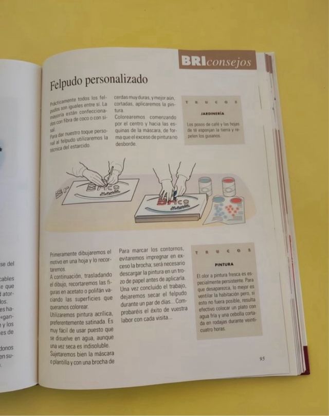 Libro “ Brico Mania”