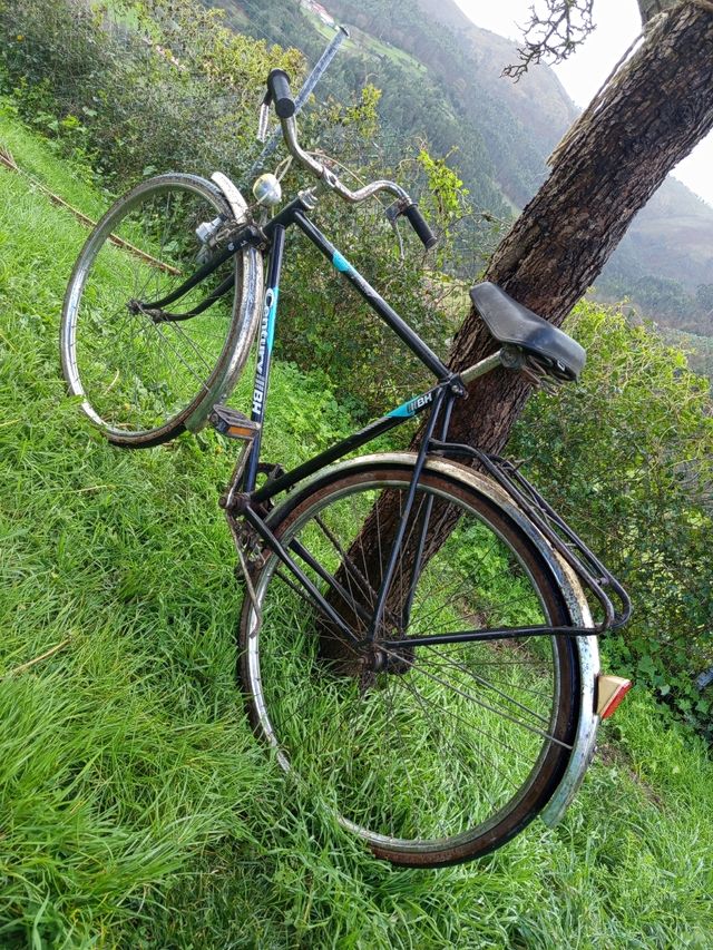 Bh Century preciosa años 80