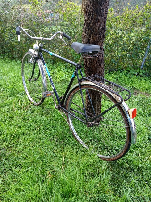 Bh Century preciosa años 80