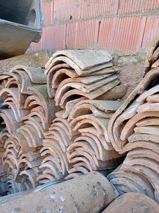 Teja arabe  Antigua 