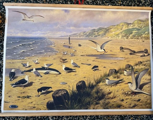 Mural escolar vintage nordico Holanda