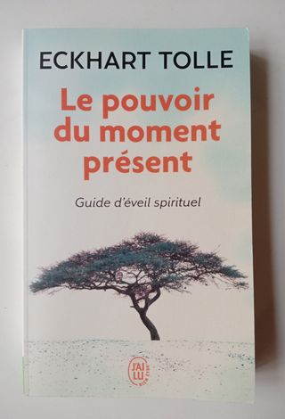 Le Pouvoir Du Moment Present (Bien Etre) (French E