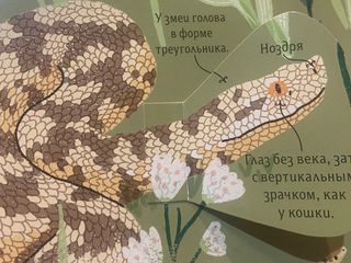 Libro en ruso /Animales de exterior e interior
