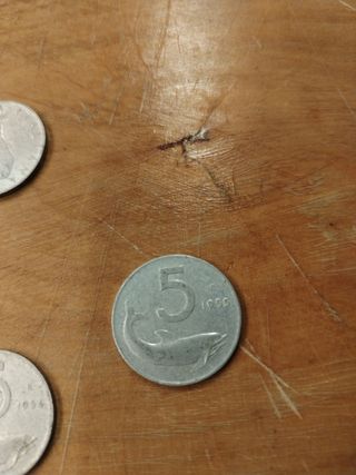 5 lire monete anni 50