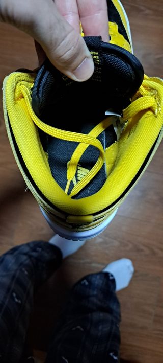 Bambas nike Dunk High