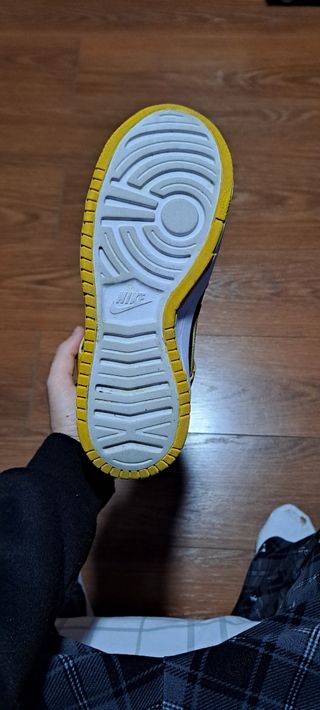 Bambas nike Dunk High