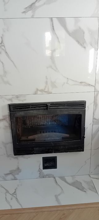 Chimenea insert de leña