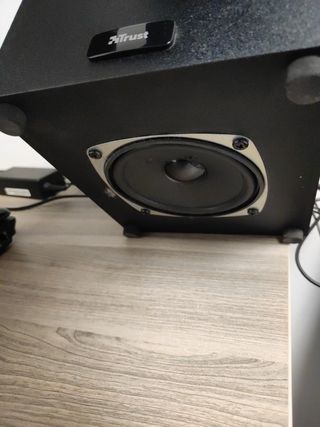 Altavoces trust pc