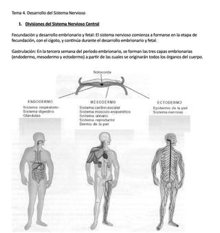 Apuntes Psicología - Psicobiología