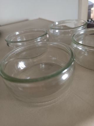 Set 6 ciotole in vetro