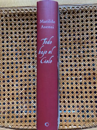 Todo bajo el Cielo: Una gran aventura (M. Asensi)