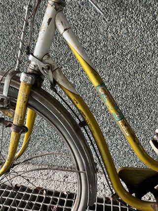 Bicicleta antigua vintage